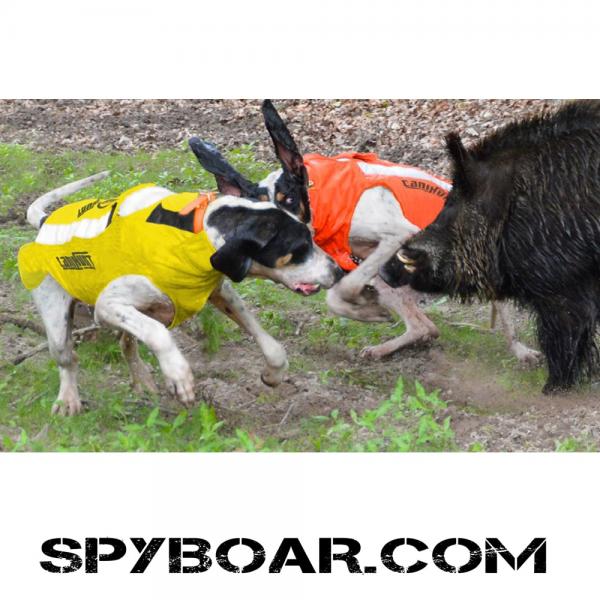 Защитно облекло за ловно куче  PROTECT PRO CANO