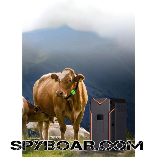 GPS Tracker S10 for Goats and Cows – Real-Time Tracking