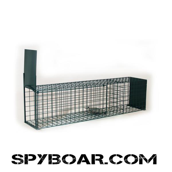 Cage-trap with live bait