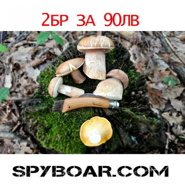 Foldable knife for mushrooms Opinel N°08