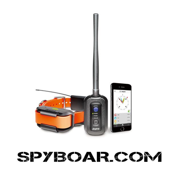 GPS каишка за следене и възпитаване - DOGTRA Pathfinder