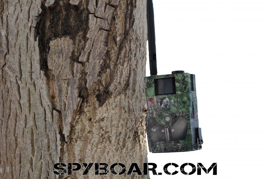 Камера Scoutguard SG880 монтирана на дърво